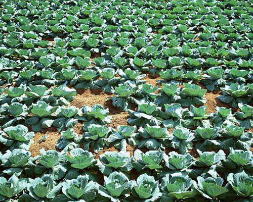 產(chǎn)品應(yīng)用